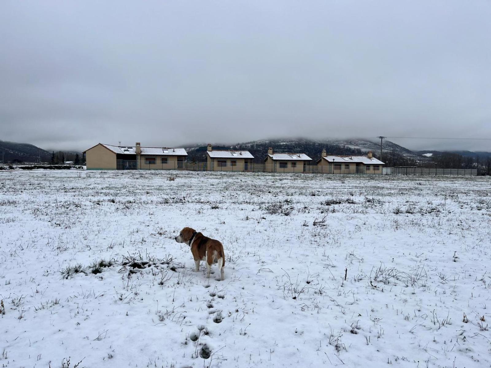 Casas Rurales Cuatro Valles Naredo de Fenar 外观 照片